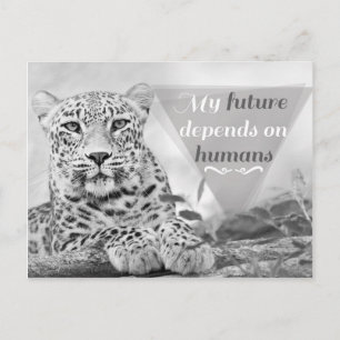 Gefährdete Leoparden schützen wild lebende Tiere P Postkarte