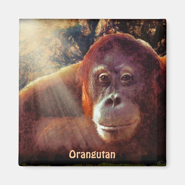 Gefährdete Orangutan Red Apes Wildlife Art Magnet (Vorne)