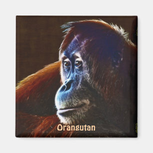 Gefährdete Orangutan Red Apes Wildlife Art Magnet