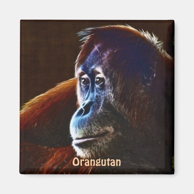 Gefährdete Orangutan Red Apes Wildlife Art Magnet (Vorne)