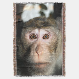 gefährdete Regenwaldreifen Decke