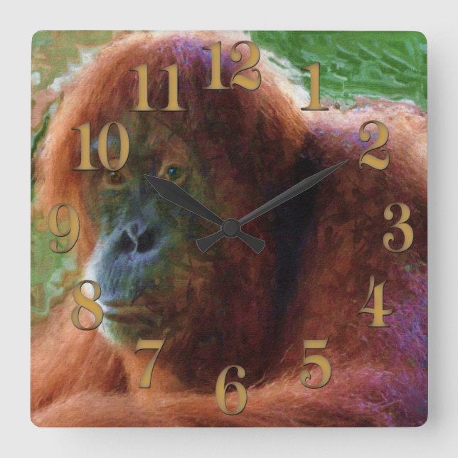 Gefährdete weibliche Orangutan Primat Wildnis Kuns Quadratische Wanduhr (Vorderseite)