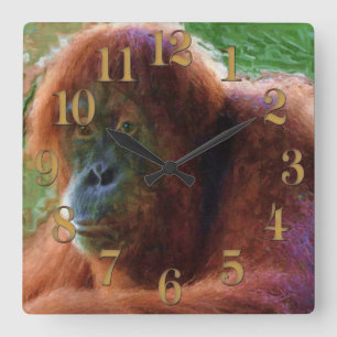 Gefährdete weibliche Orangutan Primat Wildnis Kuns Quadratische Wanduhr