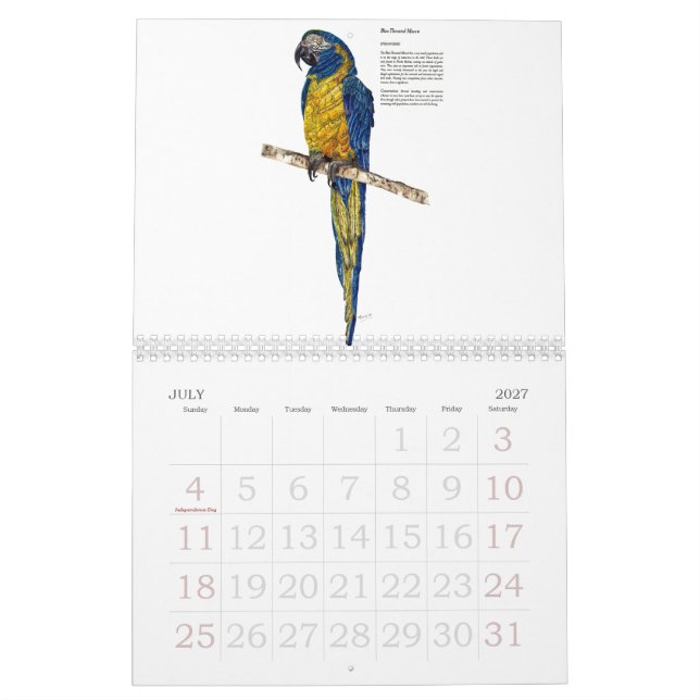 Gefährdete Wildtiersammlung Kalender (Jul 2027)