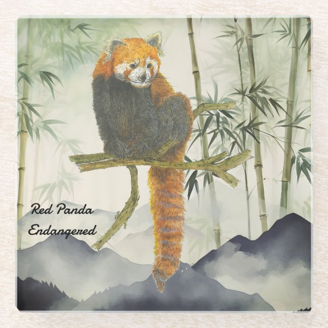 Gefährdeter Niedlicher, handgemalter Roter Panda Glasuntersetzer (Vorderseite)