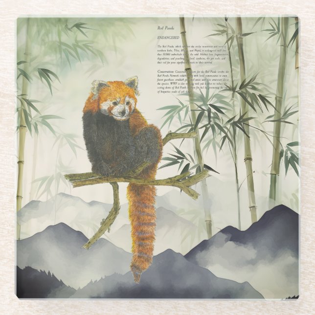 Gefährdeter Niedlicher, handgemalter Roter Panda Glasuntersetzer (Vorderseite)