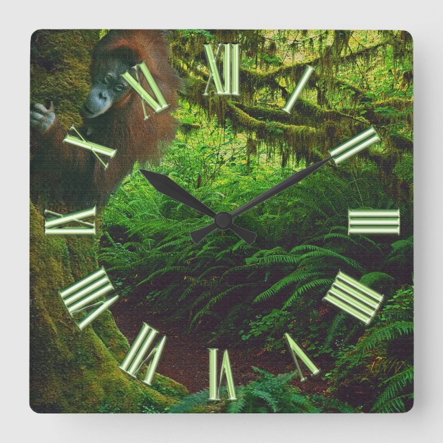 gefährdetes Orangutan- und Regenwald-Primat Bild 2 Quadratische Wanduhr (Vorderseite)