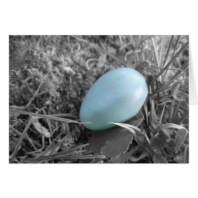 Gefallen vom Nest (Vorderseite (Horizontal))