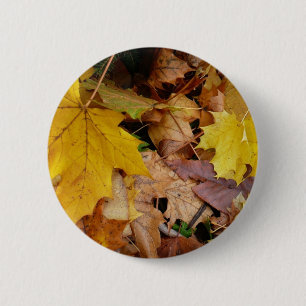 Gefallene Ahornblätter Gelber Herbst Natur Button