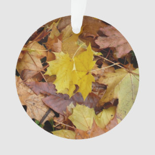 Gefallene Ahornblätter Gelber Herbst Natur Ornament