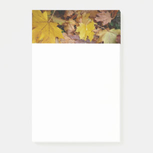 Gefallene Ahornblätter Gelber Herbst Natur Post-it Klebezettel
