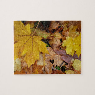 Gefallene Ahornblätter Gelber Herbst Natur Puzzle