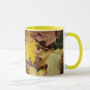 Gefallene Ahornblätter Gelber Herbst Natur Tasse