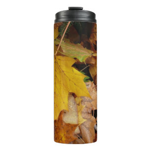Gefallene Ahornblätter Gelber Herbst Natur Thermosbecher