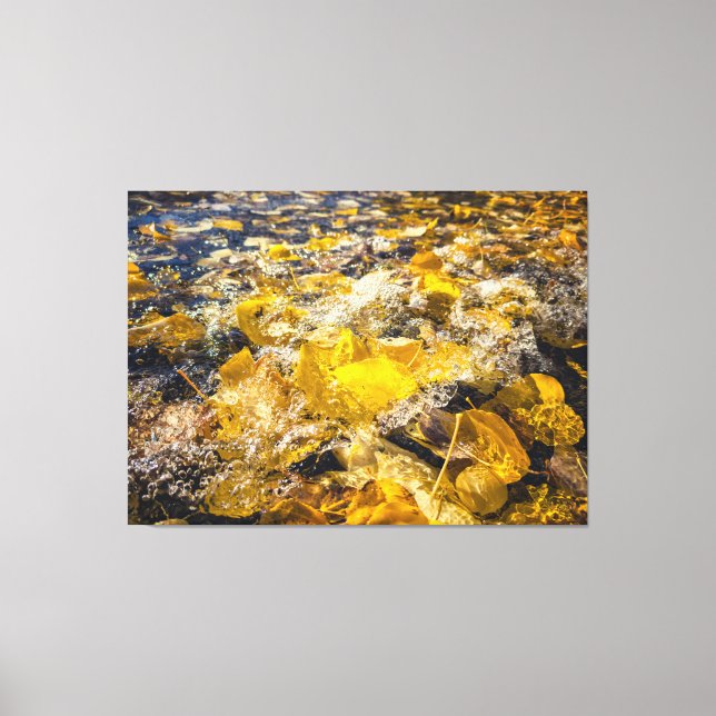 Gefallene Blätter im Wasser Leinwanddruck (Vorderseite)