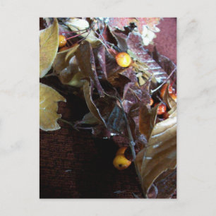 Gefallene Blätter Postkarte