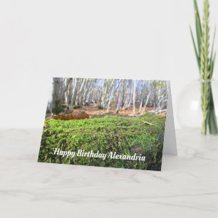 Gefallener Baum im Herbstmoos - Custom Birthday Ca Karte