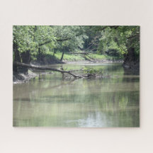 Gefallener Baum im Wasser