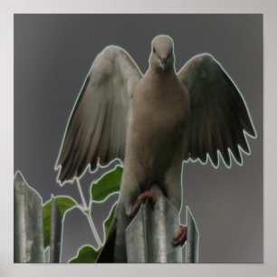 Gefallener Engel Tauben Druck Poster