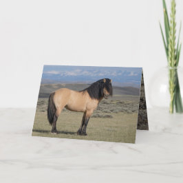 "Gefallener Stern vor den Wind River Mountains" Einladung