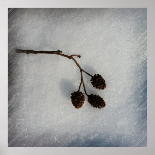 gefallener Zweig Poster