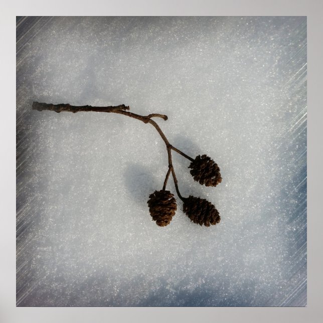 gefallener Zweig Poster (Vorne)