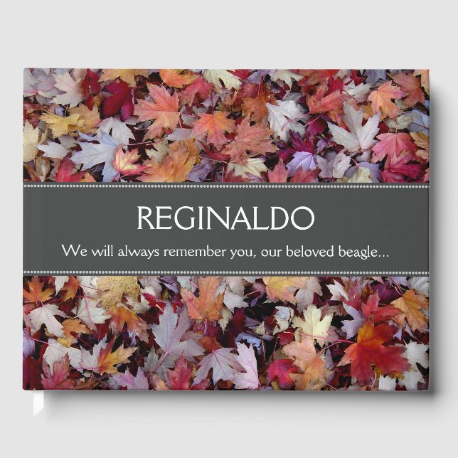 Gefallenes Herbstbuch lässt das Gästebuch der Haus (Vorderseite)