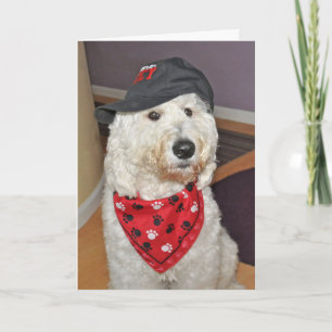 Gefaltete Grußkarte Karte