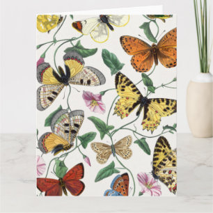 Gefaltete Grußkarte Schmetterling Vintage Karte