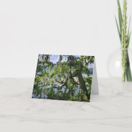 Gefaltete Grußkarte. Sumpf Karte