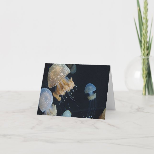 Gefaltete Mitteilungskarte (Vorderseite)