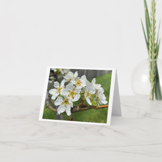 Gefaltete Mitteilungskarte (Vorderseite)