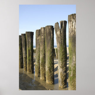 Gefangen am Strand Poster