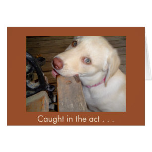 Gefangen genau im Moment des Liebens Sie gelber