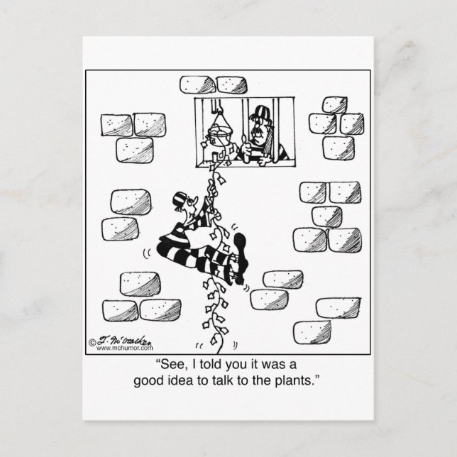 Gefangene entkommen über einen Philodendron Postkarte (Vorderseite)