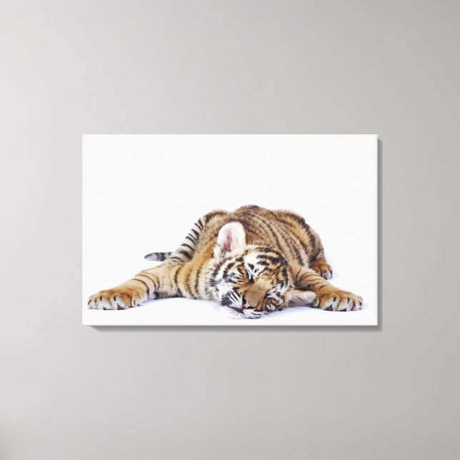 Gefangene, Südafrika 2 Leinwanddruck (Vorderseite)