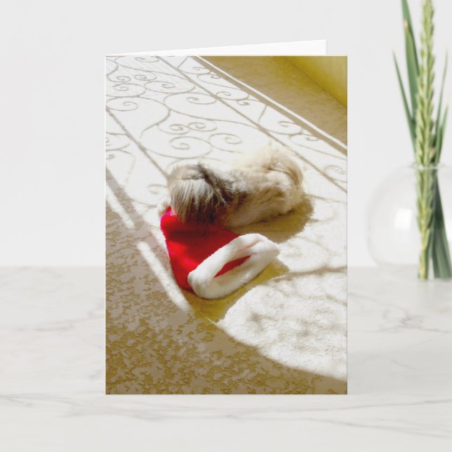 Gefangener Santa Feiertagskarte (Vorderseite)