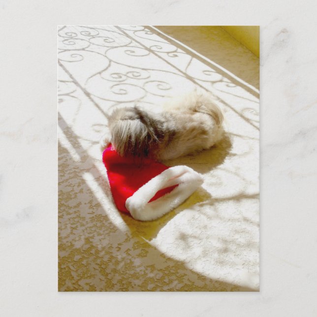 Gefangener Santa Feiertagspostkarte (Vorderseite)