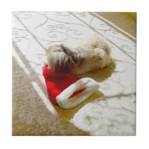 Gefangener Santa Fliese