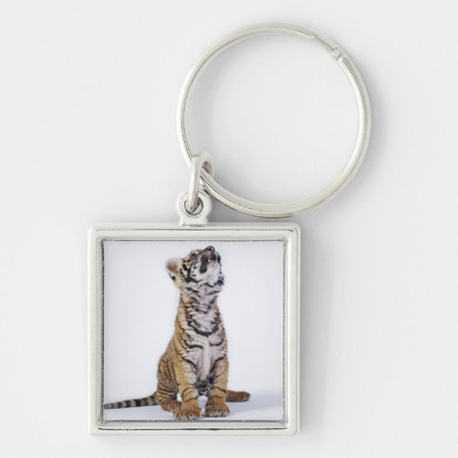 Gefangener, Südafrika Schlüsselanhänger (Vorne)