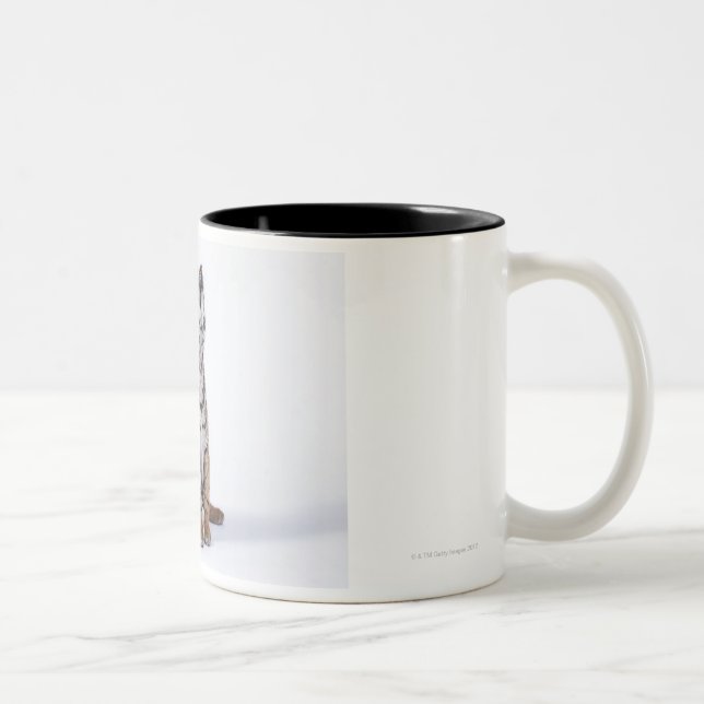 Gefangener, Südafrika Zweifarbige Tasse (Rechts)