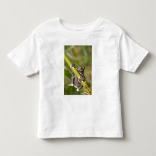 Gefangener Tapichalaca-Laubfrosch Hyloscirtus Kleinkind T-shirt