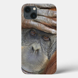 Gefangenes weibliches Sumatran Orang-Utan Case-Mate iPhone Hülle