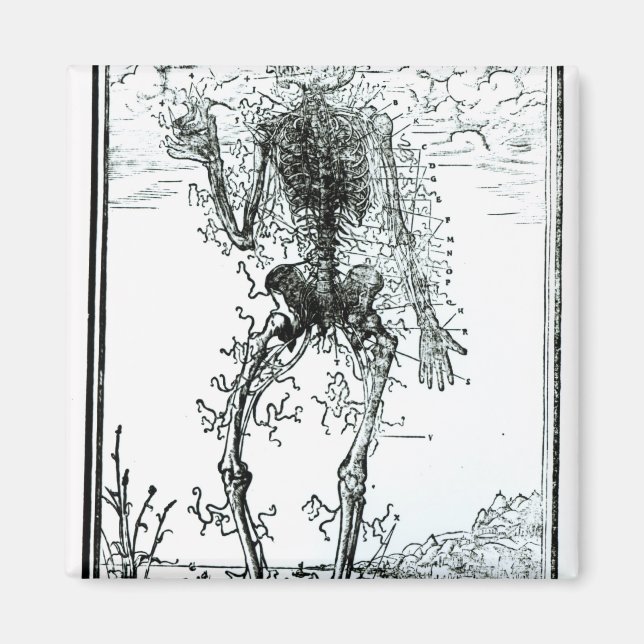 Gefäßsystem des Körpers Magnet (Vorne)