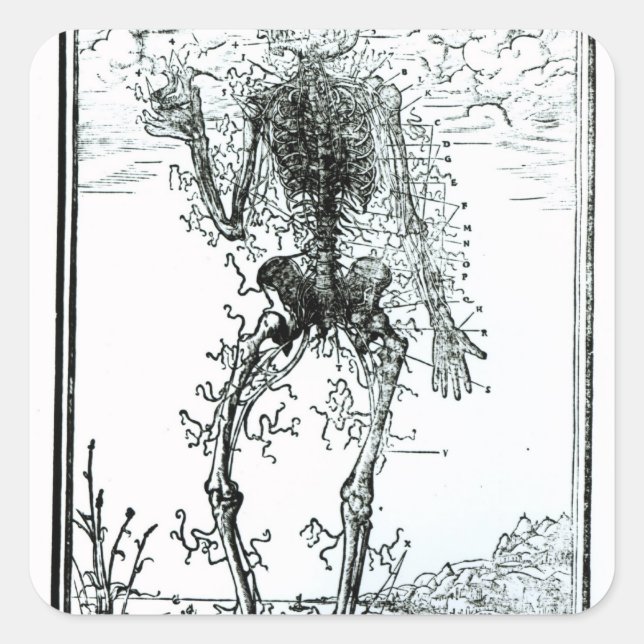 Gefäßsystem des Körpers Quadratischer Aufkleber (Vorderseite)