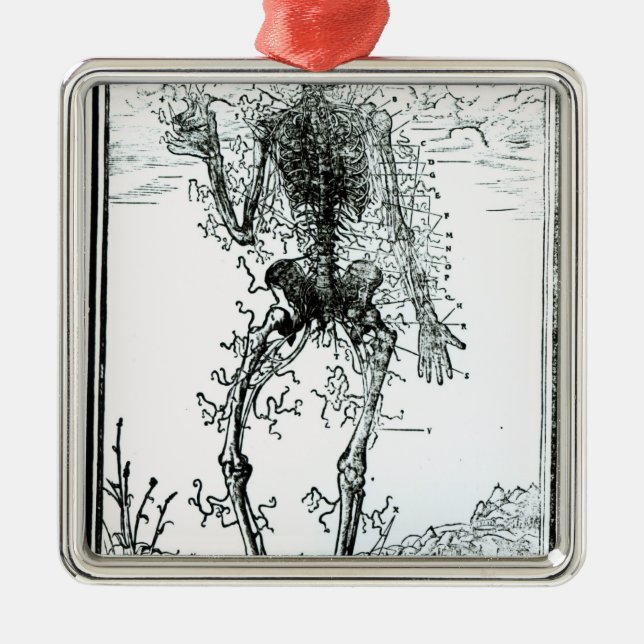 Gefäßsystem des Körpers Silbernes Ornament (Vorne)