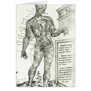 Gefäßsystem entsprechend Charles Etienne