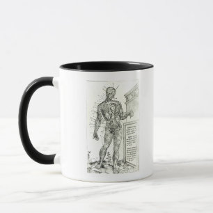 Gefäßsystem entsprechend Charles Etienne Tasse
