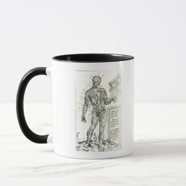 Gefäßsystem entsprechend Charles Etienne Tasse (Links)