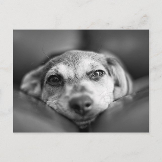 Gefecht Postkarte (Vorderseite)